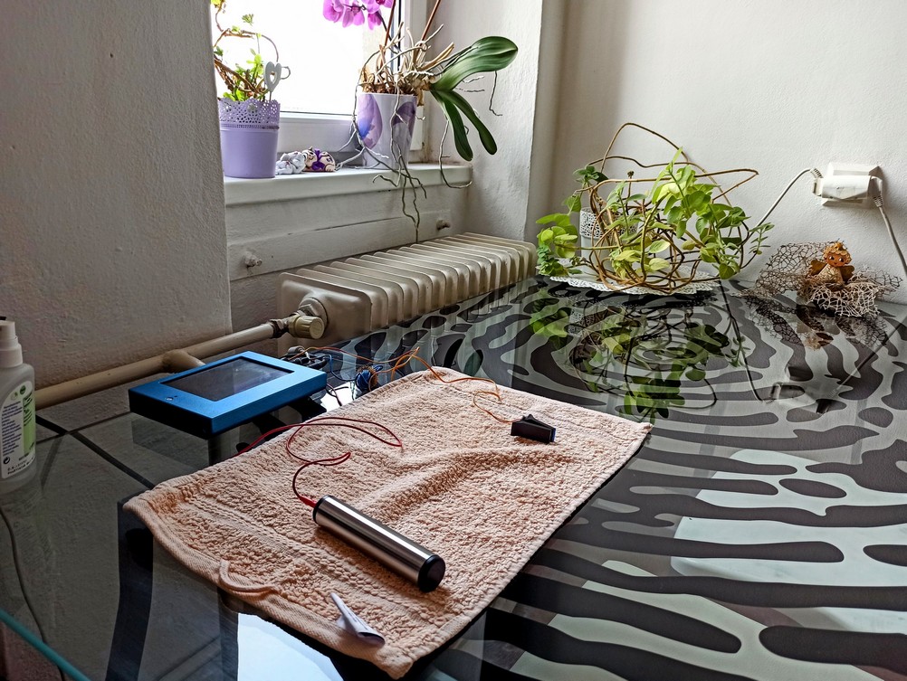 naturoporadna hradec kralove lenka zvolankova 15